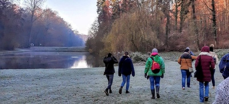 Balade plantes comestibles d'hiver (Brabant wallon)