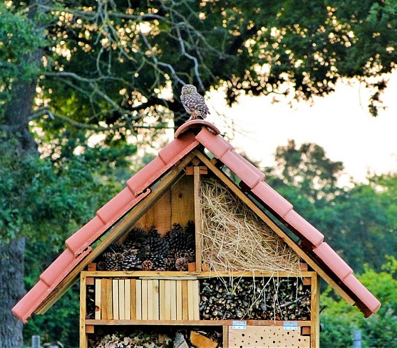 CAMPING DE LA MAISON NEUVE