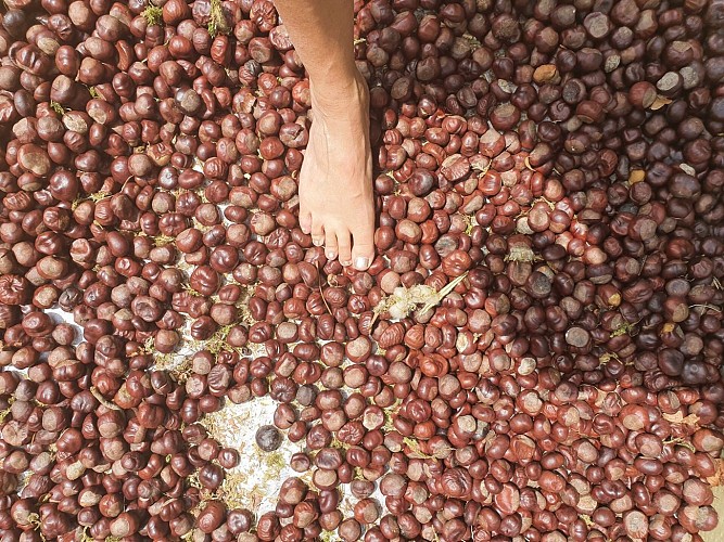 Parcours pieds nus - Site médiéval de Donzy