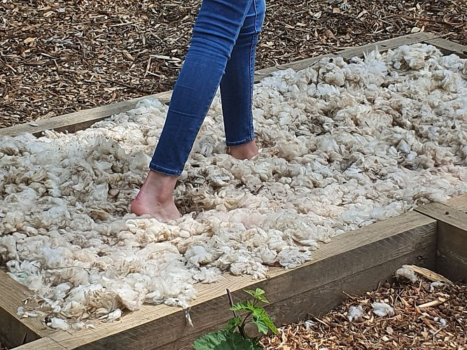 Parcours pieds nus - Site médiéval de Donzy