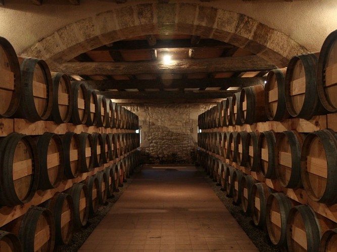 Château Eyquem vignoble côtes de bourg chais Bayon 800x600