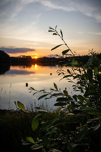 FLAYAT - Etang de la Ramade