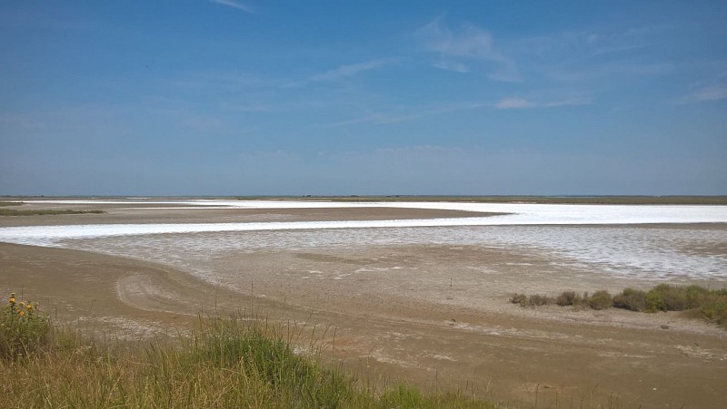 Un lac blanc salé vers la Baisse de Mergues