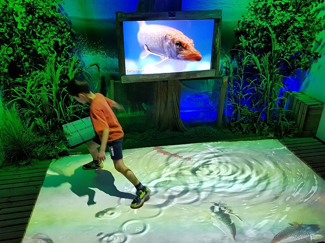 Interactive exhibition - maison de l'eau et de la nature