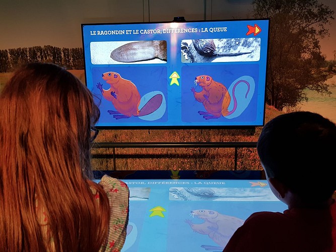 Exposition interactive - maison de l'eau et de la nature