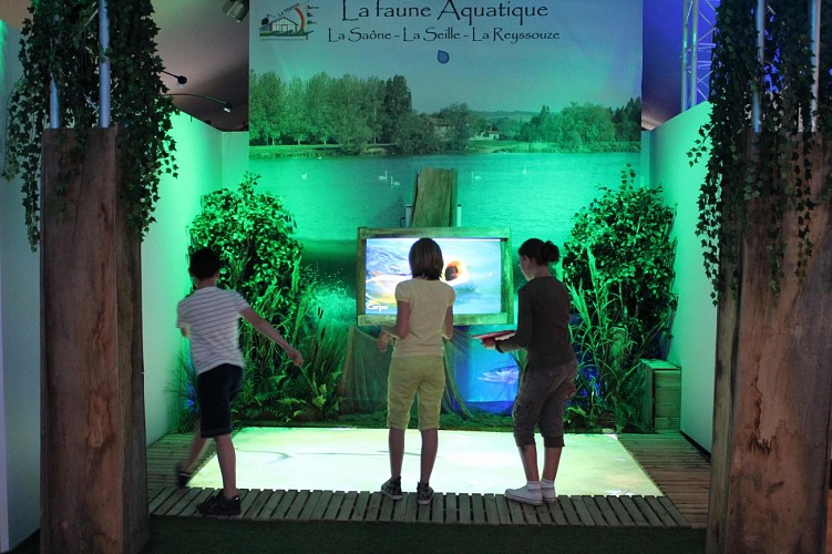 Exposition interactive - maison de l'eau et de la nature