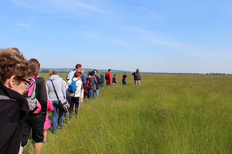 Interactieve tentoonstelling - Maison de l'eau et de la nature