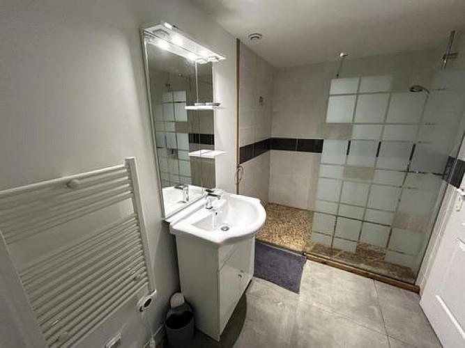 8 Salle d'eau au rez-de-chaussée