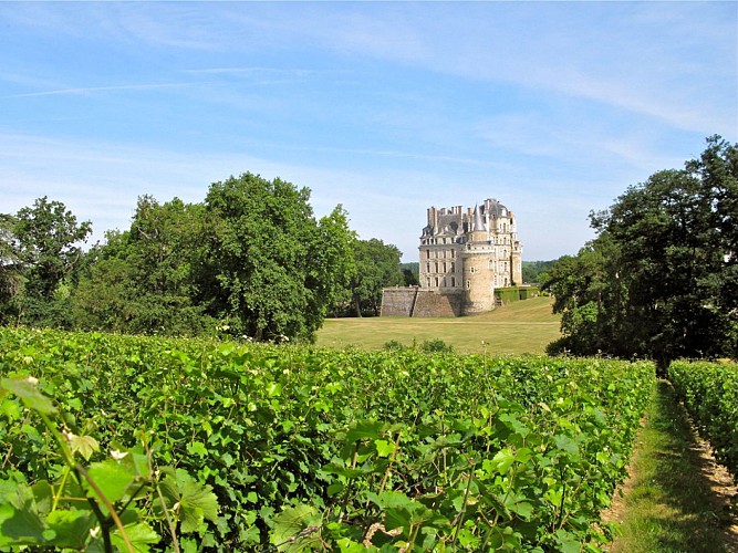 Château de Brissac