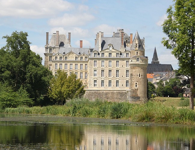 Château de Brissac