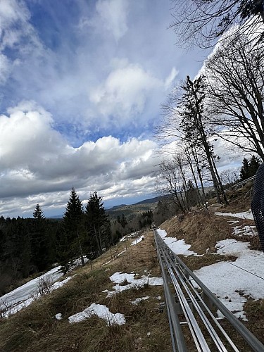 Rodelbahn - Tricky Track