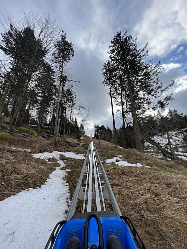 Rail sled - Tricky Track