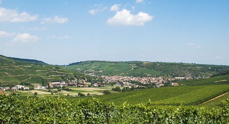 Studio de la Vallée Noble - Claire BOLTZ