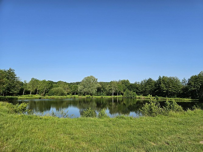 Etangs de la Basse Plaine (6)