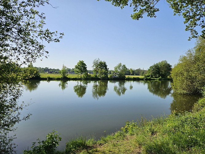 Etangs de la Basse Plaine (9)