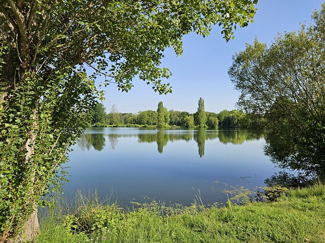 Etangs de la Basse Plaine (2)