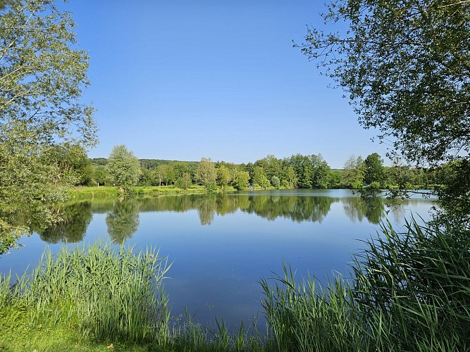 Etangs de la Basse Plaine (4)