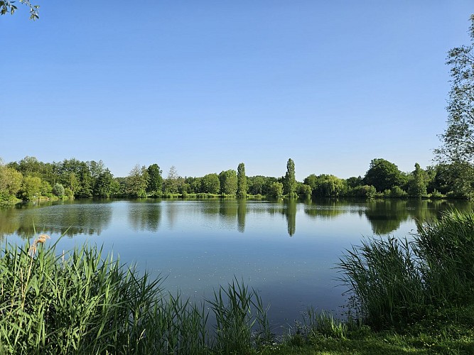 Etangs de la Basse Plaine (7)