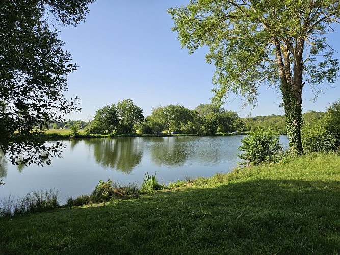 Etangs de la Basse Plaine (8)