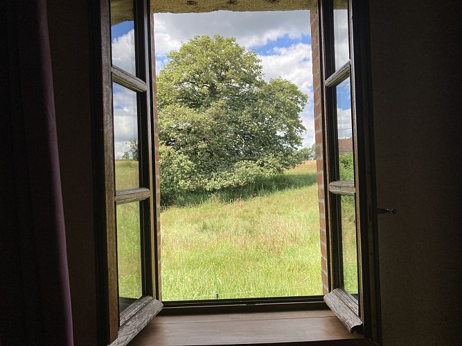 Vue depuis la chambre du rdc