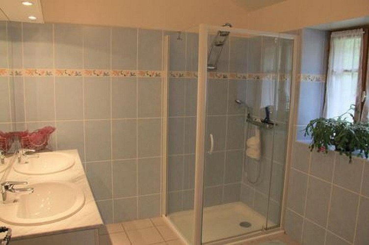 Salle d'eau au rez-de-chaussée