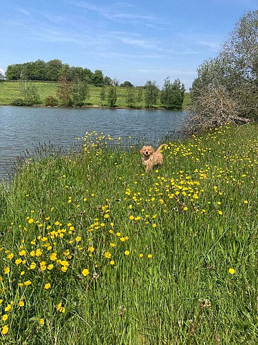 Plan d'eau privé - chalet avec bouées - paddles - salon de jardin