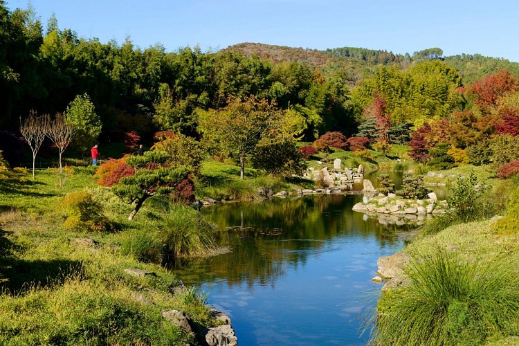 The Bamboo Grove in the Cévennes