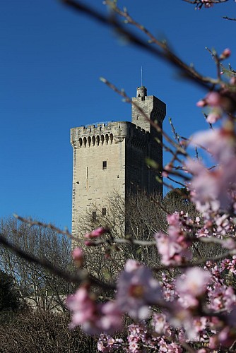Philippe-le-Bel-Turm