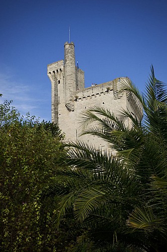 Philippe-le-Bel Tower