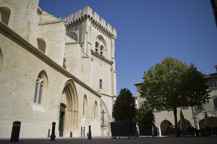 Notre-Dame collegiate church and cloister