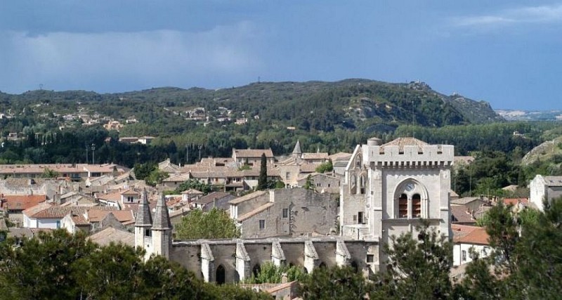 Collégiale Notre-Dame et son cloître