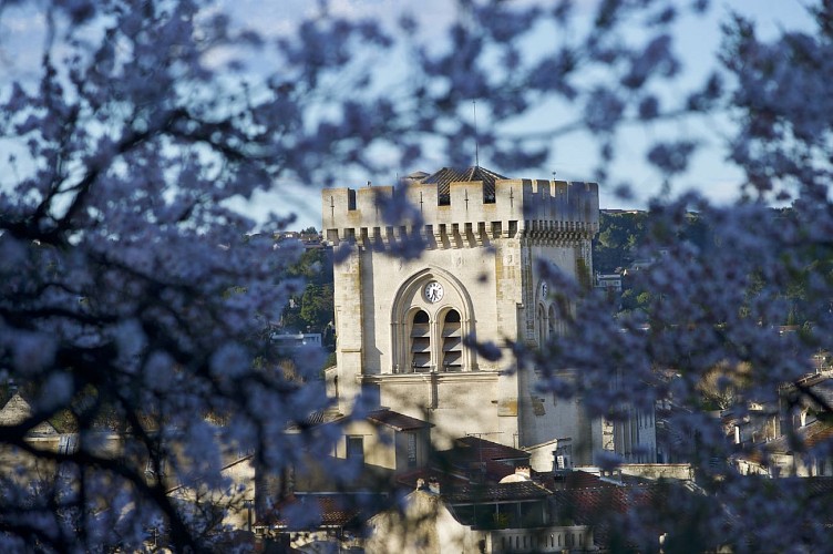 Collégiale Notre-Dame et son cloître