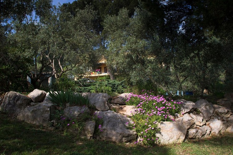 Lou Roucas - Gästezimmer