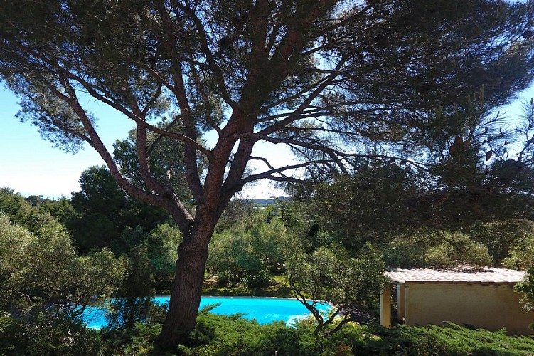 Лу Рукас - Постель и завтрак