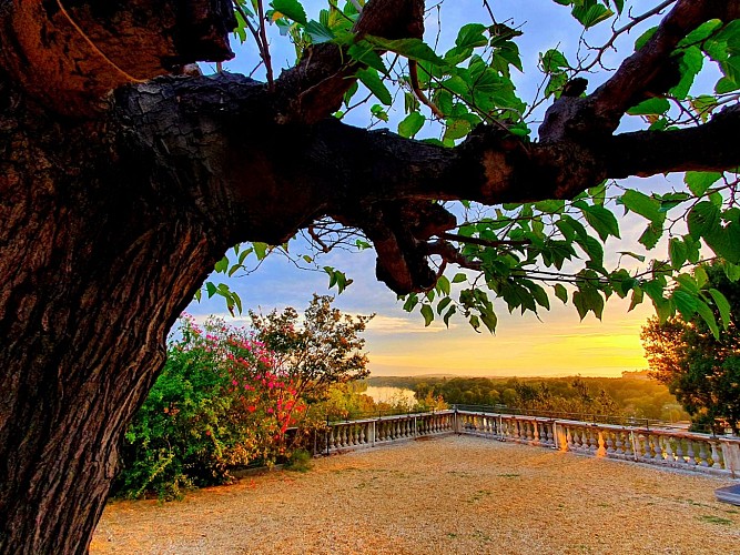 YMCA Gard Pont d'Avignon