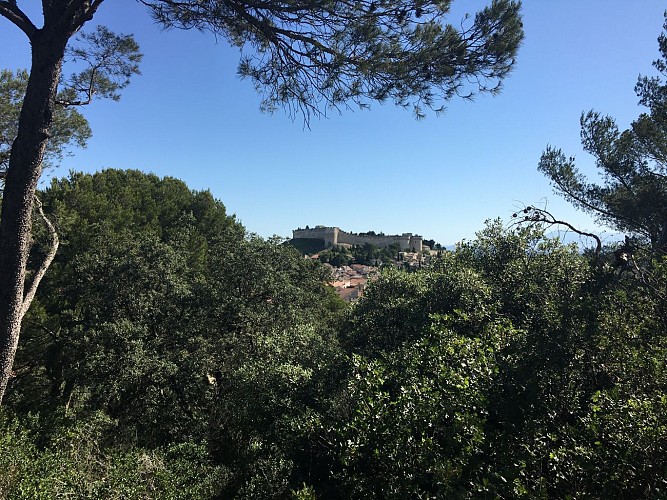 La colline des Mourgues