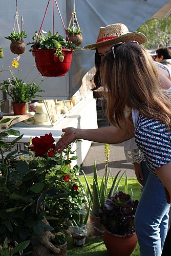 Marché de Villeneuve lez Avignon