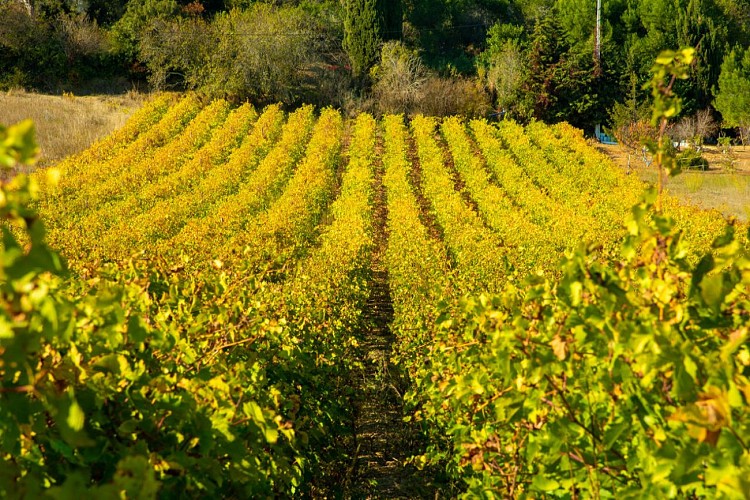 Mourgues du Grès Castle