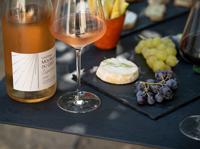 Mourgues du Grès Castle