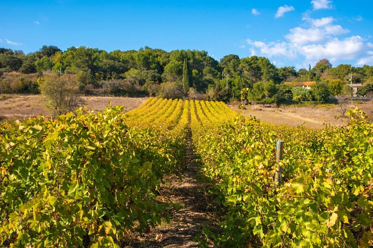 Château Mourgues du Grès