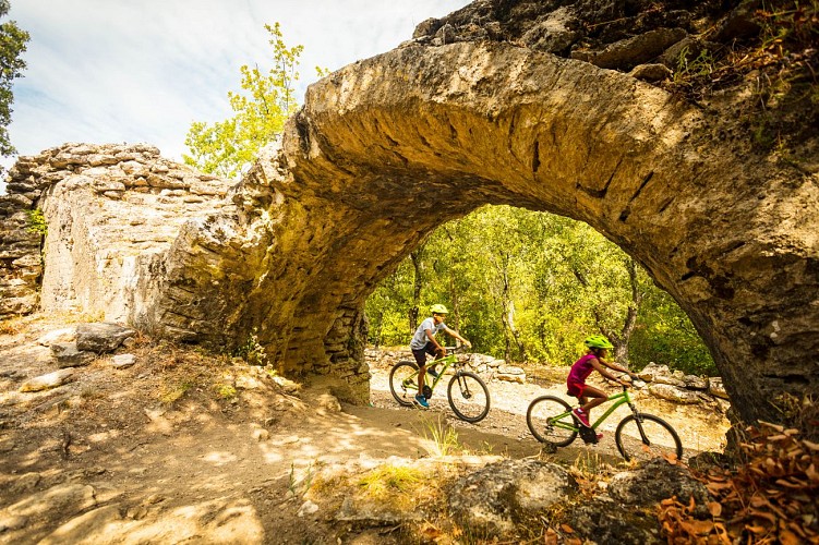 Puravida - VTT & e-VTT