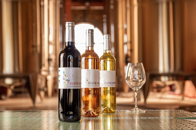 Les Collines du Bourdic - St Maximin Tasting Cellar