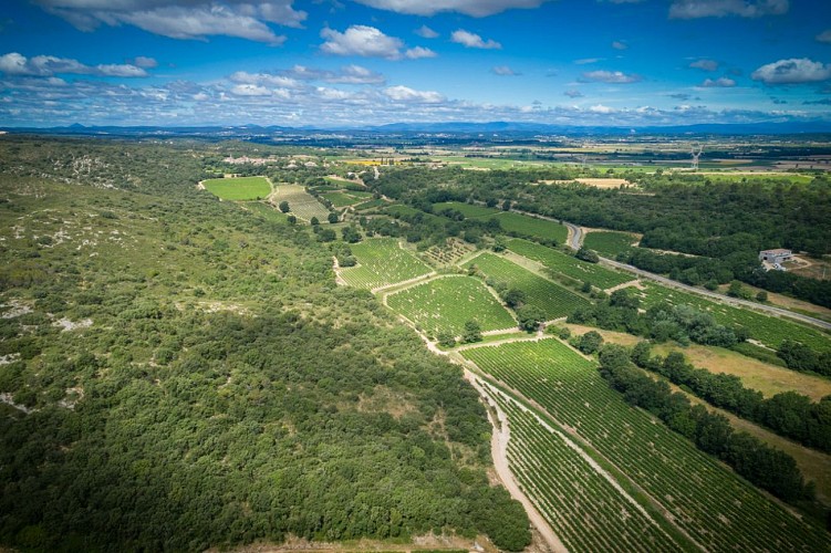 Les Collines du Bourdic - Caveau de St-Maximin