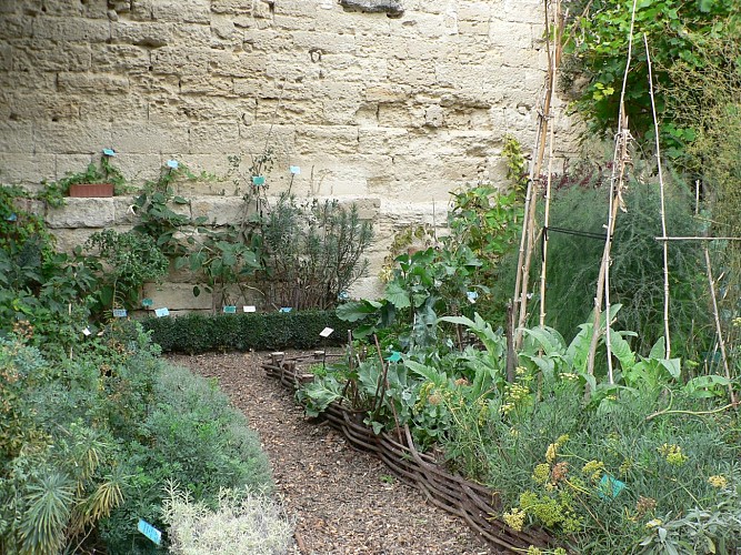 Le jardin médiéval d'Uzès et ses tours