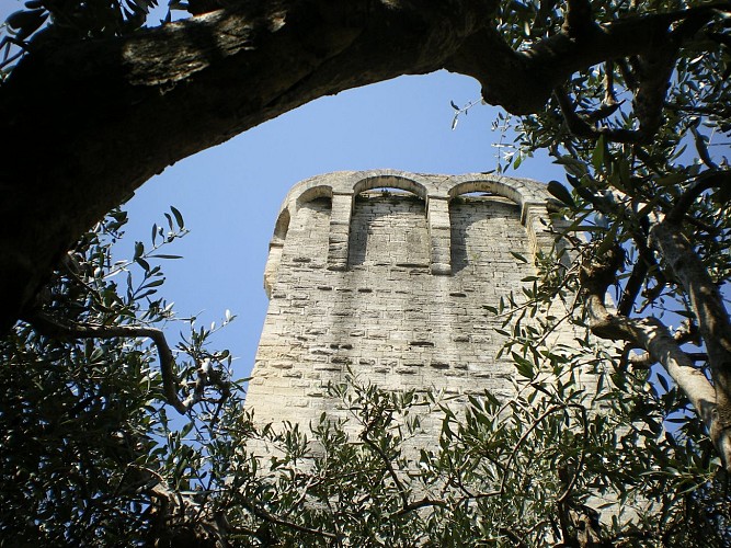 Le jardin médiéval d'Uzès et ses tours