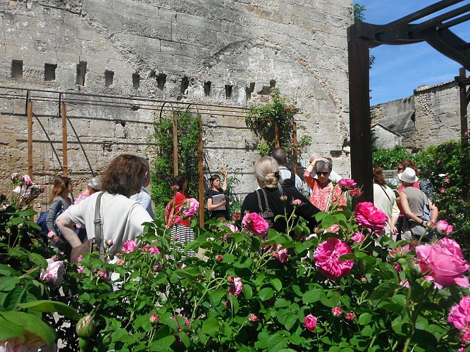 Le jardin médiéval d'Uzès et ses tours