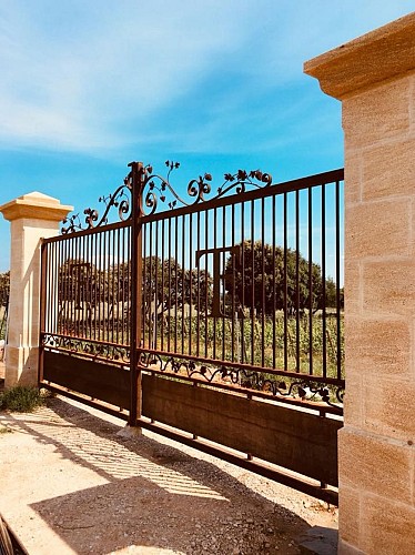 Domaine Tardieu Ferrand Wine Estate