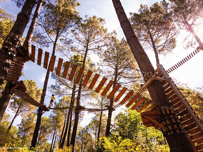 Air de Nature - Accrobranche Park - Reopening in 2026