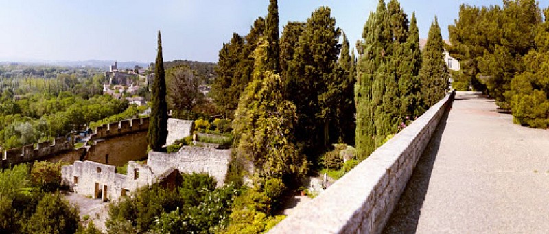 Les jardins remarquables de l'Abbaye Saint-André