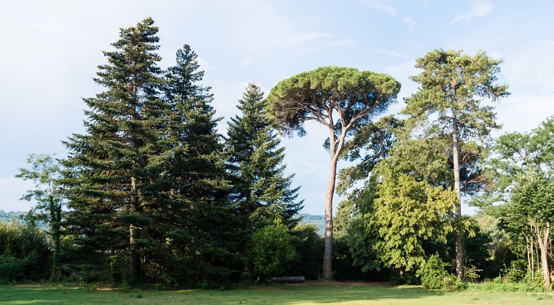 Hôtel Restaurant Château de Montcaud